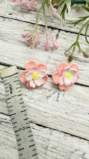 Bloom Blossoms