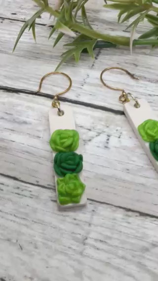 Beauty Succulents